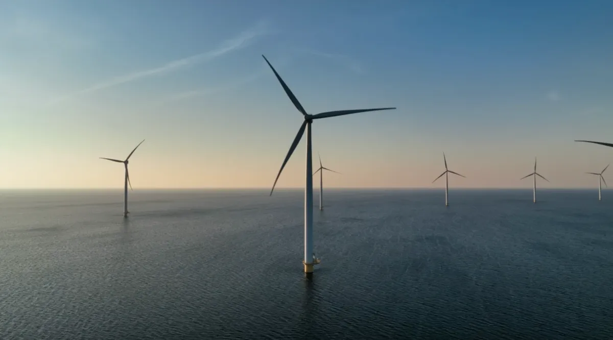 Offshore wind farm
